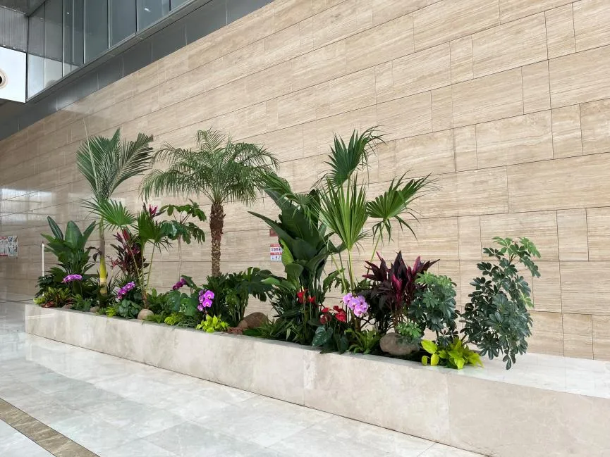 探秘宁波花卉租赁优质之选，你不容错过的指南