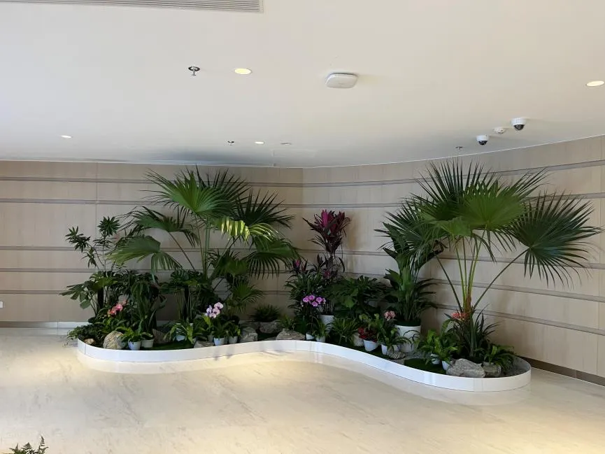 宁波北仑花木租赁方案